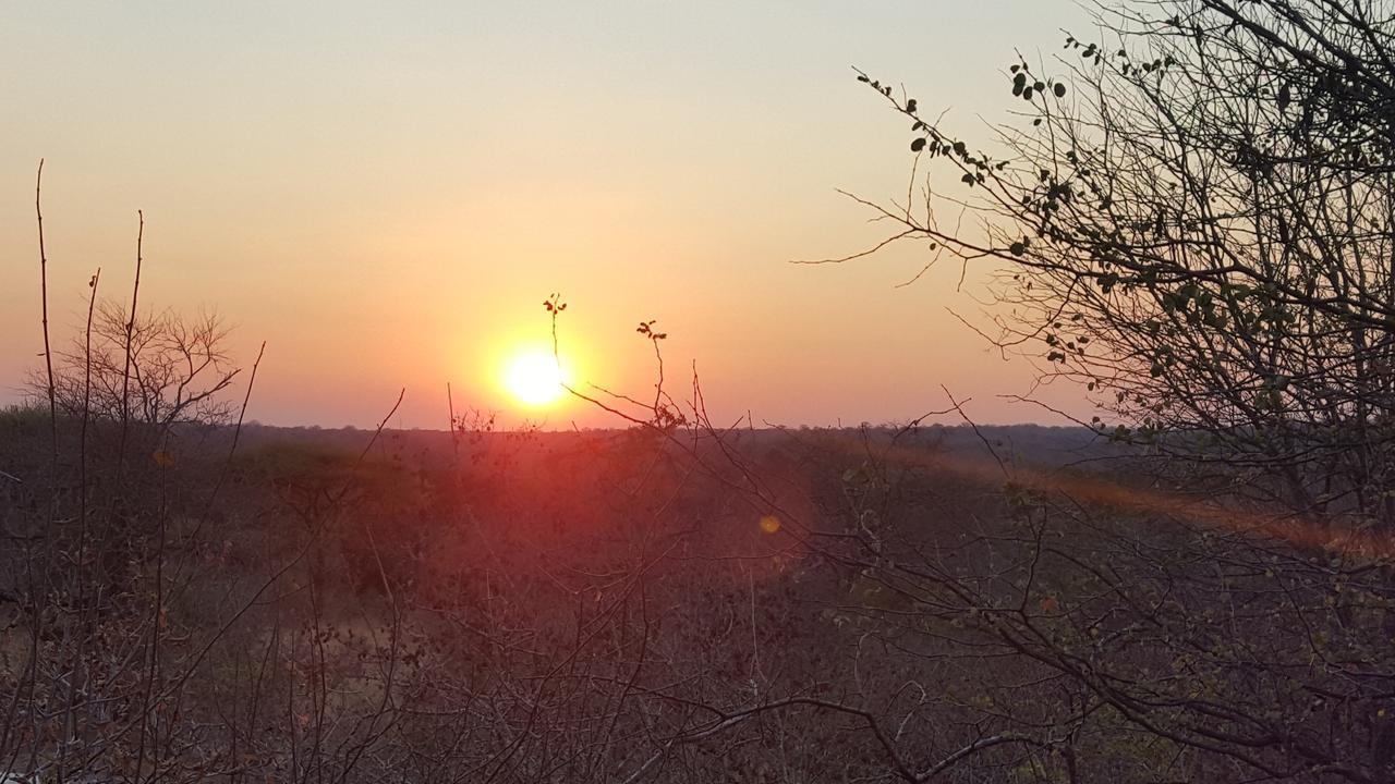 Mabata Makali Luxury Tented Camp Ilusi Eksteriør billede