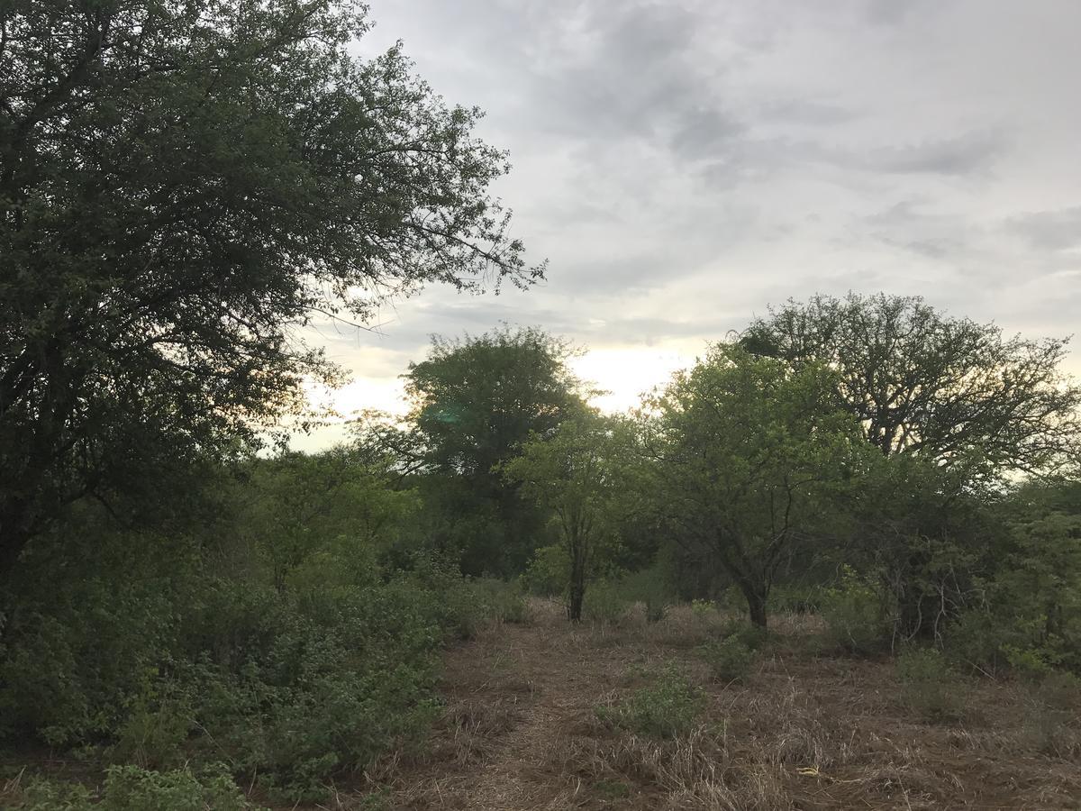 Mabata Makali Luxury Tented Camp Ilusi Eksteriør billede