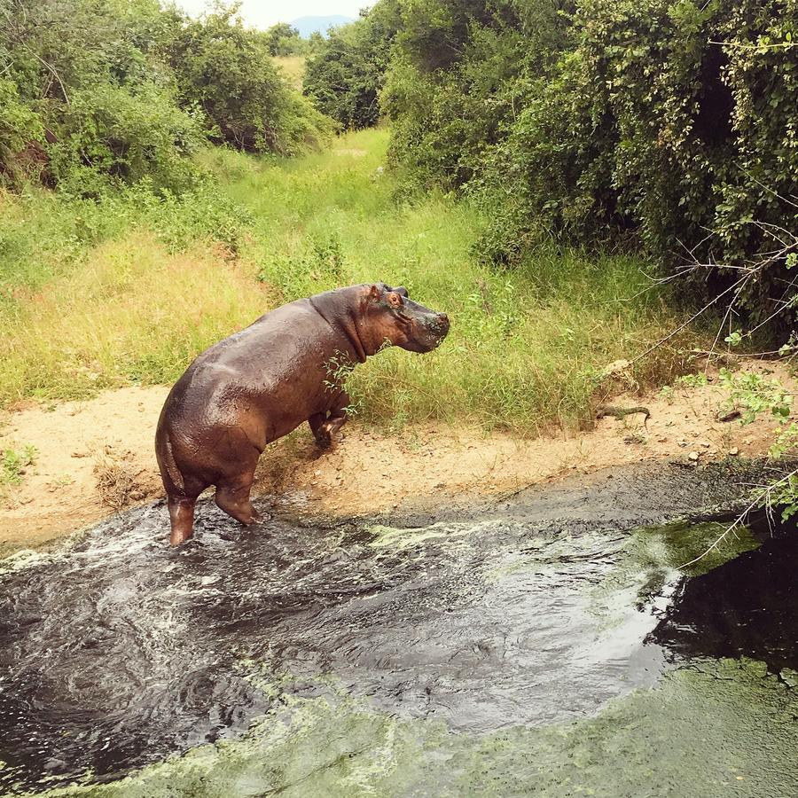 Mabata Makali Luxury Tented Camp Ilusi Eksteriør billede